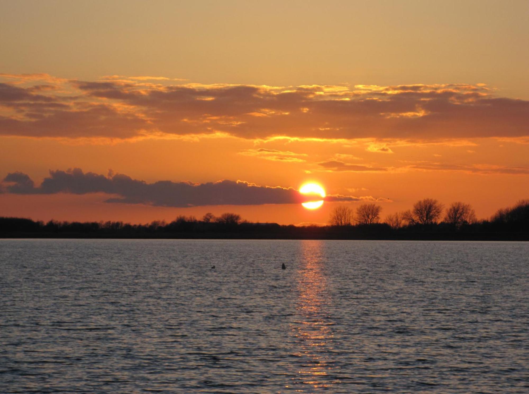 Fewo Im Kastania Nr19 Petersdorf auf Fehmarn Bagian luar foto