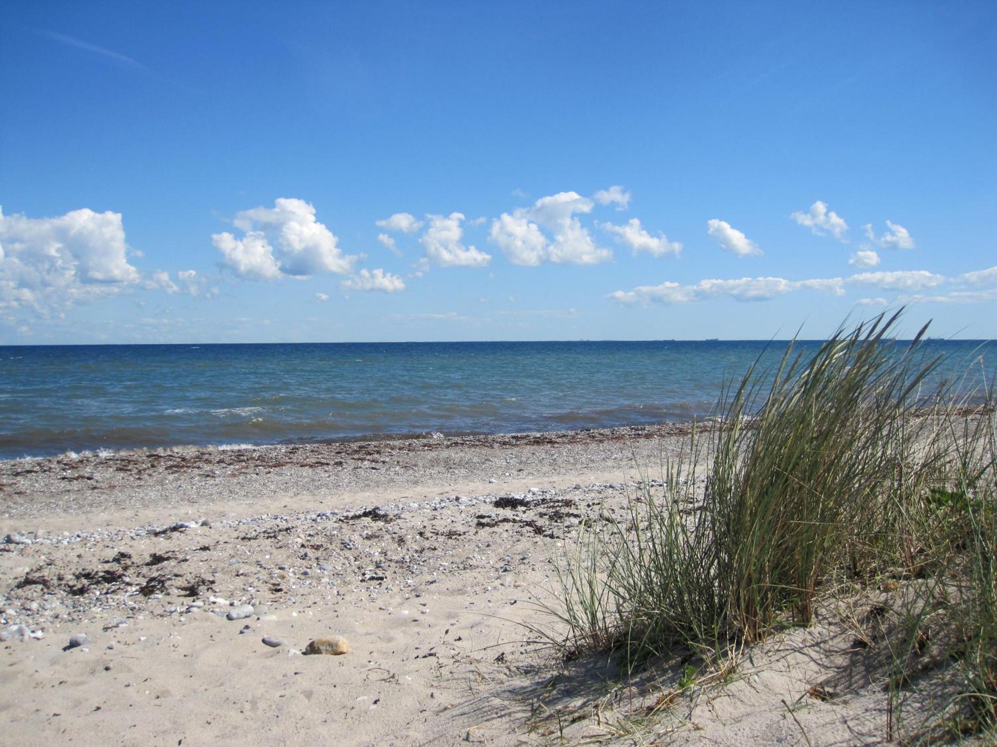 Fewo Im Kastania Nr19 Petersdorf auf Fehmarn Bagian luar foto